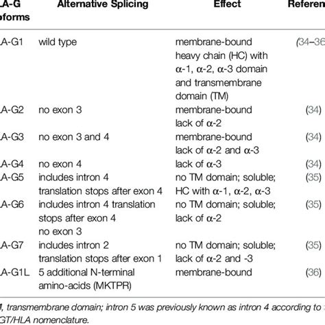 Overview Of All Described Hla G Isoforms Download Scientific Diagram