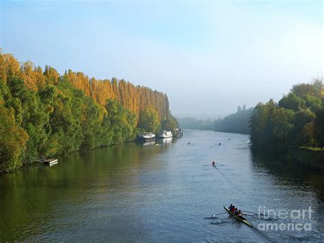 Water Boatmen of the River Oise Photograph by Alex Cassels - Pixels