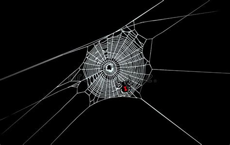 A Black Widow Spider is Seen on a Spider Web Stock Illustration ...