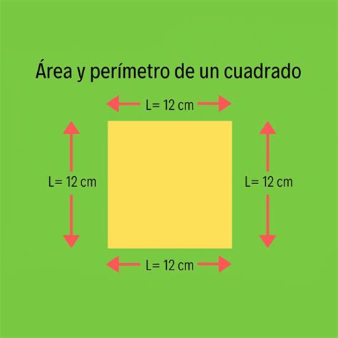 ¿sabes Calcular El área Y El Perímetro De Un Triángulo Yo Soy Tu Profe