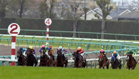 競馬aiがオールカマー、神戸新聞杯を大予想 厳選ワイド3点＆3連複10点で勝負！ スポーツナビ