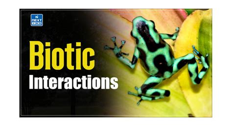 Biotic Interactions: Meaning, Types, Effects & More