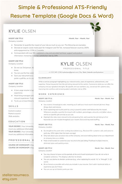 Ats Friendly Two Page Professional Resume Template For Google Docs Word