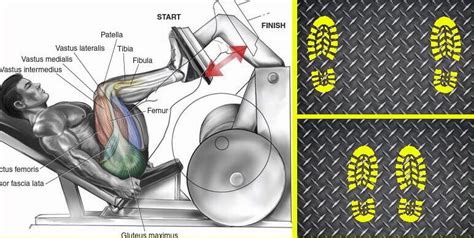 6 Leg Press Foot Variations for Total Leg Training - GymGuider.com