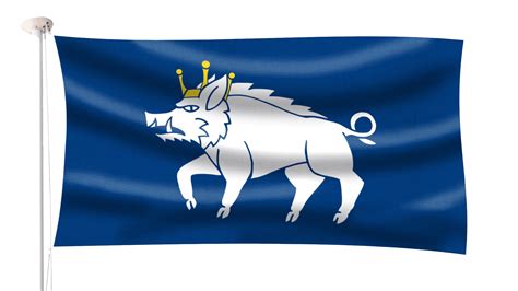 Kingswinford Flag Hampshire Flag Company