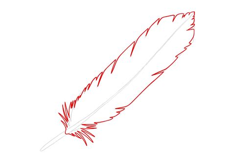 How to Draw a Feather | Design School