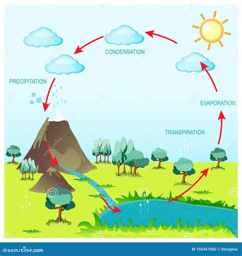 Ciclo De Agua En El Entorno Natural Ilustración del Vector