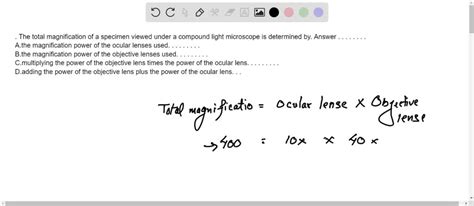 SOLVED The Total Magnification Of A Specimen Viewed Under A Compound