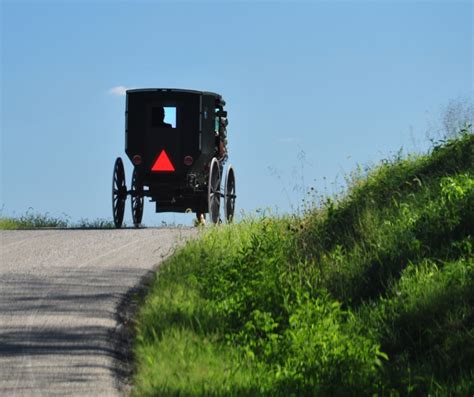 Multiple injuries in Amish buggy accident on Monroe-Belmont County line