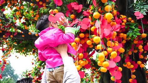 Chinese New Year Wishing Tree Tradition