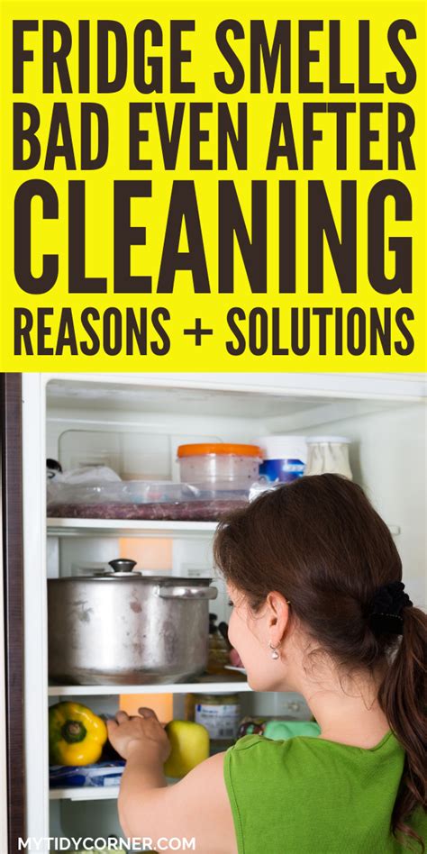 Fridge Smells Bad Even After Cleaning Reasons Why Solutions Artofit