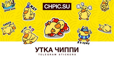Telegram Sticker 😍 from «Утка Чиппи» pack