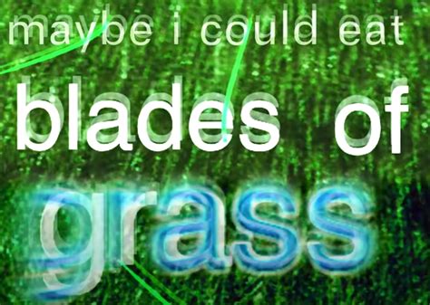 Maybe I Could Eat Blades Of Grass Memes Imgflip