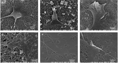 Fabrication Of Nanofibrous Scaffolds By Electrospinning IntechOpen