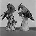 Meissen Manufactory Waxwing One Of A Pair German Meissen The