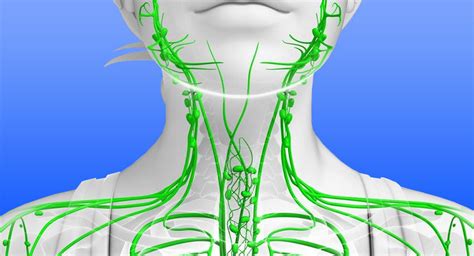 Лимфостаз (лимфедема): причины, симптомы, лечение