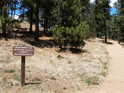 Petrified Forest Loop - GO HIKE COLORADO