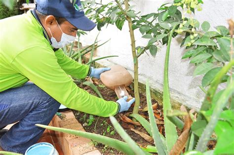 Manejo Integrado De Plagas Ecoplag De Colombia