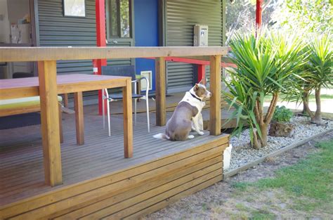 12 Best Pet-Friendly Cabins In Victoria, Australia - Updated 2024 | Trip101