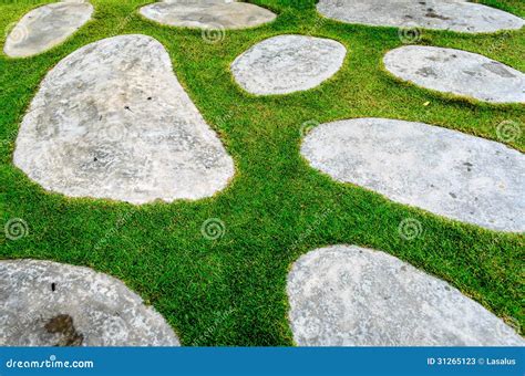 Stone And Grass Texture Stock Image Image Of Cobbled 31265123