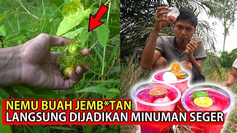 Menemukan Buah Nostalgia Langsung Dibuat Es Rambutan In Red Water With