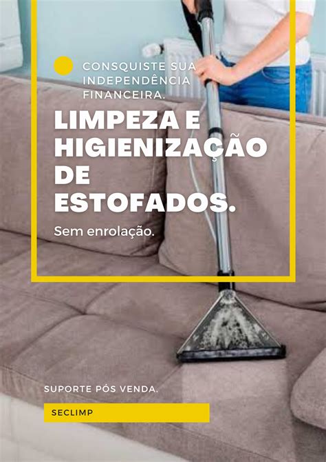 Curso de limpeza e higienização de sofá sem enrolação Grupo SecLimp