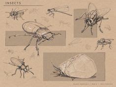 Insekten Zeichnungen Ideen Zeichnungen Insekten Insektenkunst
