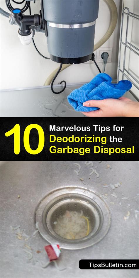 Stinky Disposal - Guide to Remove Odors from a Garbage Disposal