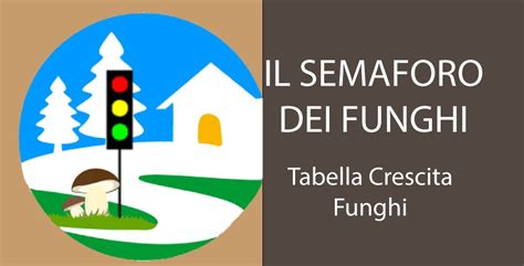 Semaforo Dei Funghi 2 Il Semaforo Dei Funghi