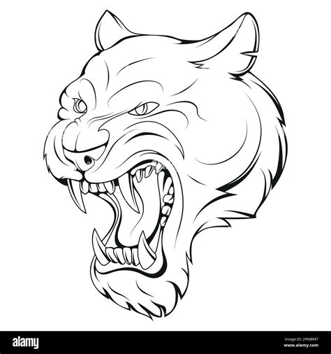 Panther Vector Illustration Of A Sketch Angry Wild Animal Undomestic