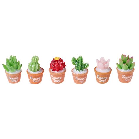 Statue Deco Plantes Miniatures Cactus Bonsa Pour D Cor De Maison De