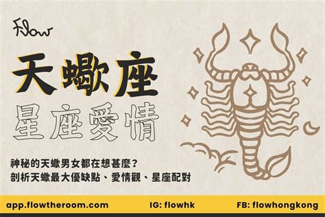 解讀神秘天蠍座2024天蠍男女性格 優缺點 戀愛表現 最合襯星座 Flow