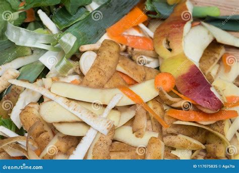 Rotting Kitchen Fruits and Vegetable Waste for Compost Stock Image ...