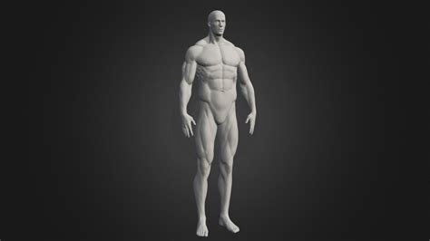 Male Body 3 3d Model By Cgspektor [29bab16] Sketchfab