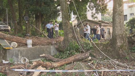 林錦公路有男子遭塌樹擊中 送院後不治 Now 新聞