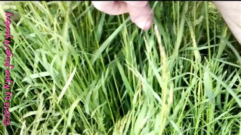 Finally Naked Jerk Off Part Gay Amateur Porn By FapHouse XHamster