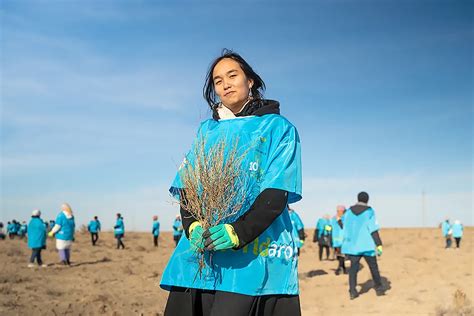 Вклад в зеленое будущее: как Siberian Wellness борется с экологической ...