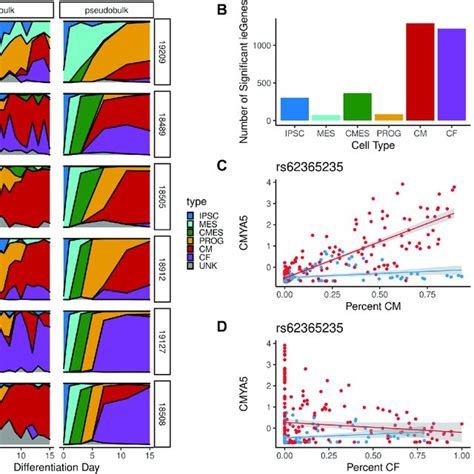 Cell Type Deconvolution And Interaction Eqtl Calling A Cell Type