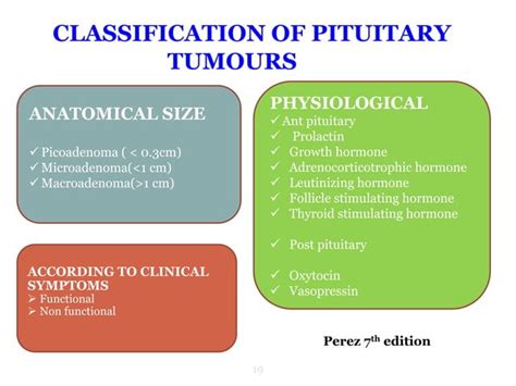 Management Of Pituitary Tumors Pptx