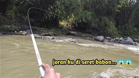 Mantap Mancing Wader Kepek Babon Pake Teknik Pelampung Di Arus Deras