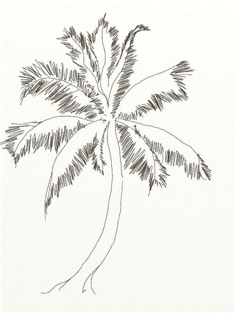 Palm Tree Pencil Drawing - bestpencildrawing