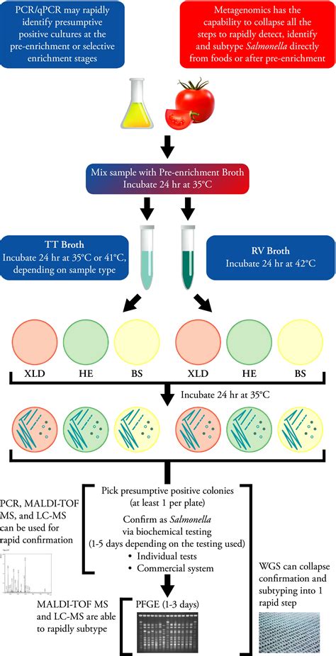 Recent And Emerging Innovations In Salmonella Detection A Food And