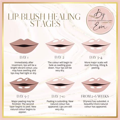 Lip Blush Healing Stages By Eva