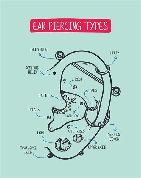 The Ultimate Piercing Size Guide Types Sizes And Fitting 45 Off