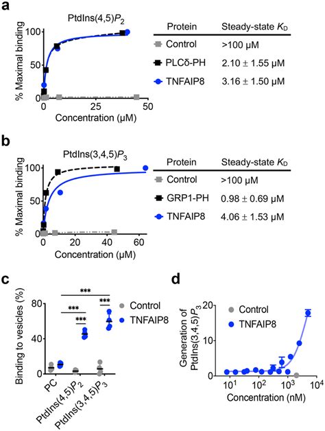 TNFAIP8 Binding To Phosphoinositides And Its Effect On PtdIns 3 4 5 P