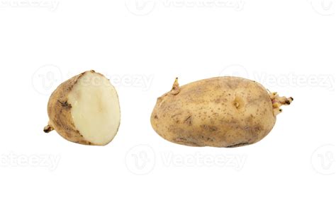 Potato Png Transparent Background 29712261 Png