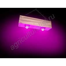 Освещение теплиц, оранжерей, зимних садов