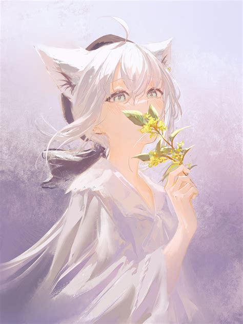 Shirakami Fubuki (Шираками Фубуки) :: Hololive (Hololive Production ...