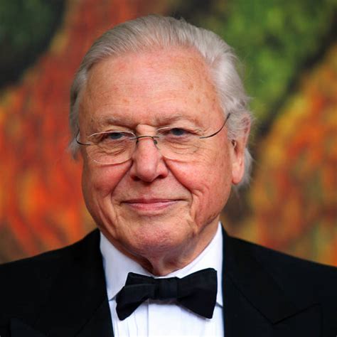 David Attenborough vows to keep working after heart surgery | Celebrity ...