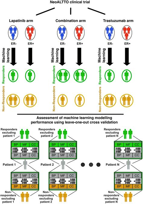 Frontiers Pathway Based Drug Response Prediction Using Similarity